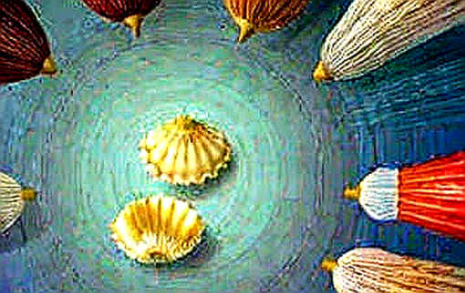 The $825 Million Trap: Bitcoin's Symmetric Liquidation Structure Signals a Volatility Event