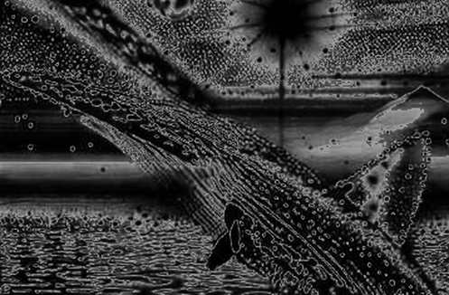 The Structural Silence: When Crypto Analysis Meets the Void of Missing Data The Structural Silence: When Crypto Analysis Meets the Void of Missing Data