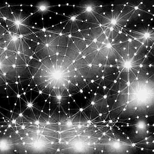 Tokenized or Not: The Bitget AI Stock Drop and the Failure of Market Data Integrity Tokenized or Not: The Bitget AI Stock Drop and the Failure of Market Data Integrity